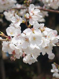 千絵さんの写真1